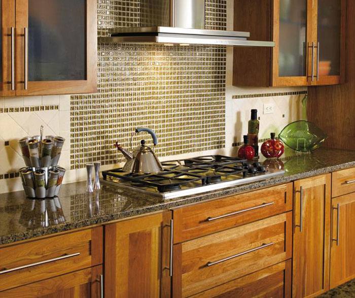Contemporary Shaker Kitchen Cabinets